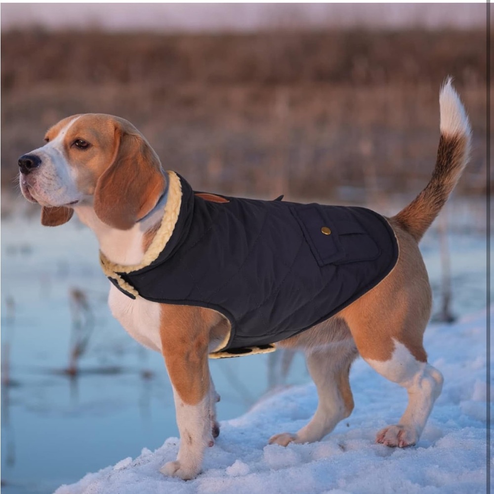Quilted Puffer Dog Coat with Fleece Lining - Navy - Large